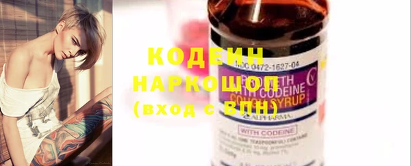 крисы Коряжма