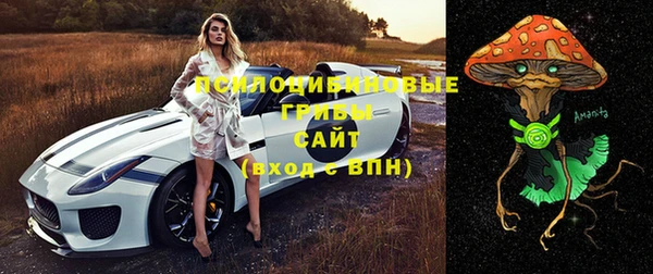 Альфа ПВП Козловка