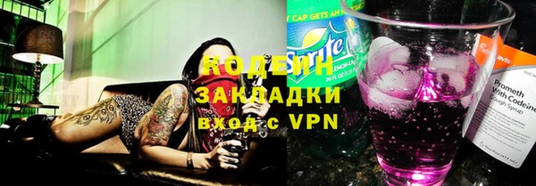 крисы Коряжма
