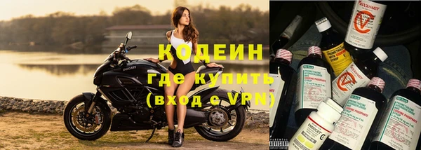 крисы Коряжма